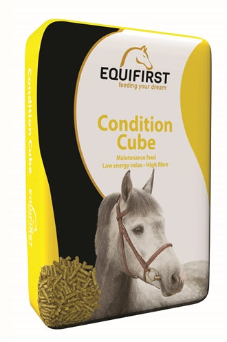 Equifirst Condition Cube