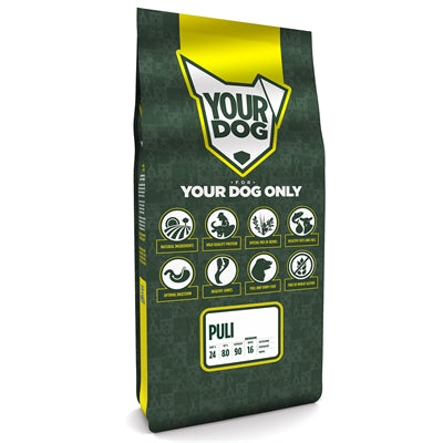 Yourdog Puli Senior