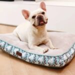 Het verhaal achter Pet Solutions XL
